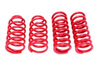 1979-2004 Mustang Lowering Springs