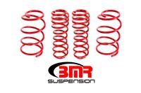 2005-2014 Mustang Lowering Springs