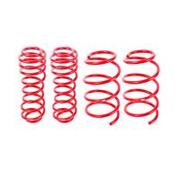 2005-2014 Mustang Lowering Springs