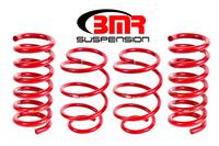 2015-2023 Mustang Lowering Springs