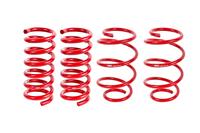 2024-2025 Mustang Lowering Springs