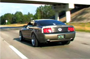Mustang Videos